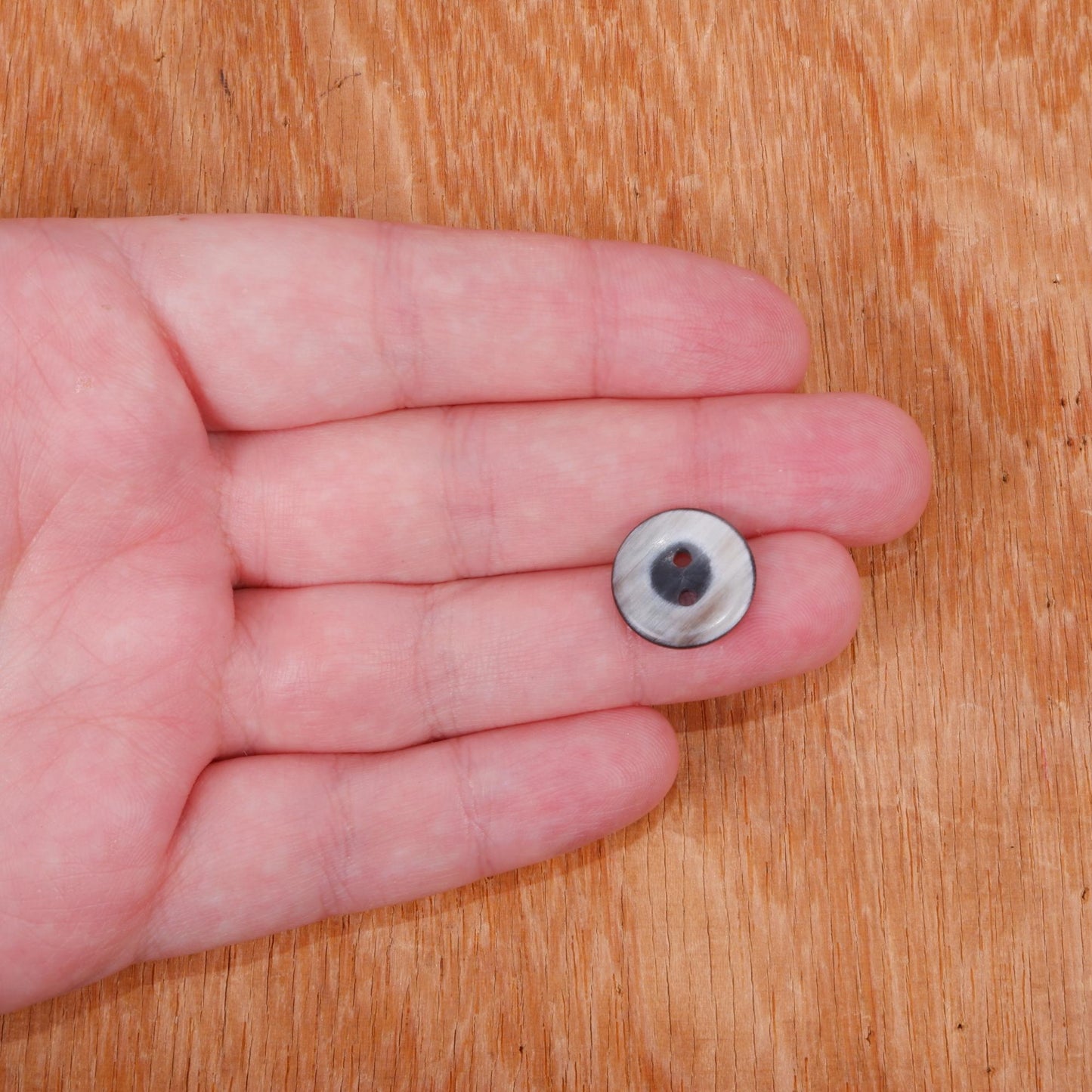 Horn buttons - size 18 mm -  2 holes