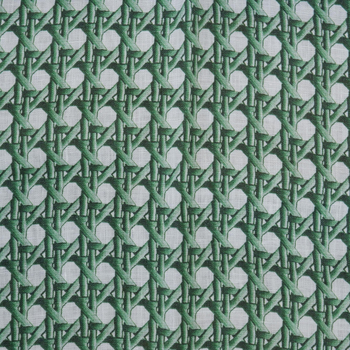 100% LINEN Fabric green bamboo trellis - botanical textile artisan fabrics green white 3685